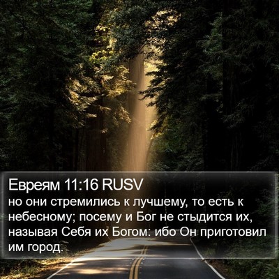 Евреям 11:16 RUSV Bible Verse Image