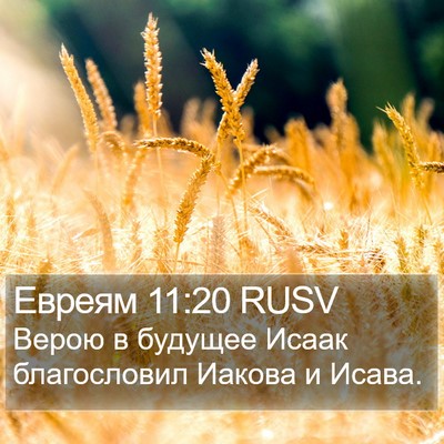 Евреям 11:20 RUSV Bible Verse Image