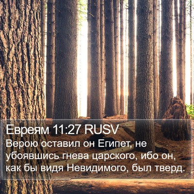 Евреям 11:27 RUSV Bible Verse Image
