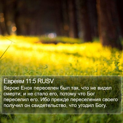 Евреям 11:5 RUSV Bible Verse Image