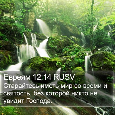 Евреям 12:14 RUSV Bible Verse Image