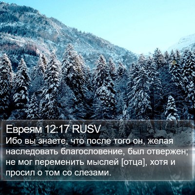 Евреям 12:17 RUSV Bible Verse Image