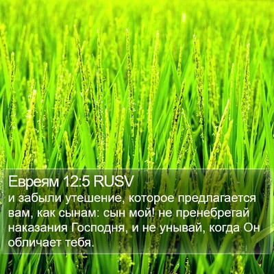 Евреям 12:5 RUSV Bible Verse Image