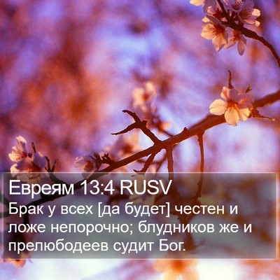 Евреям 13:4 RUSV Bible Verse Image