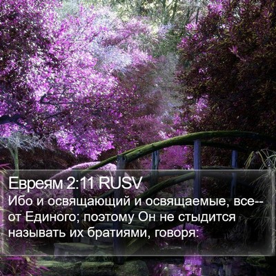 Евреям 2:11 RUSV Bible Verse Image