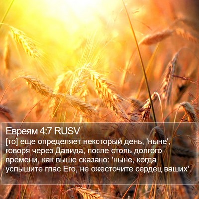 Евреям 4:7 RUSV Bible Verse Image