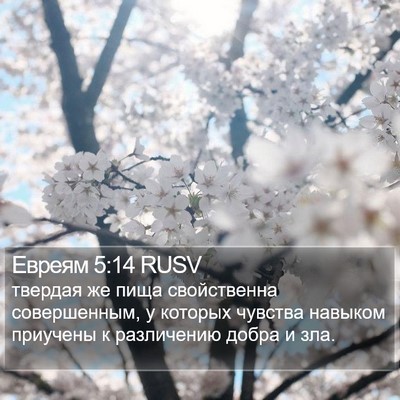 Евреям 5:14 RUSV Bible Verse Image