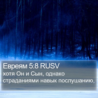 Евреям 5:8 RUSV Bible Verse Image