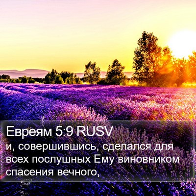 Евреям 5:9 RUSV Bible Verse Image