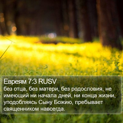 Евреям 7:3 RUSV Bible Verse Image