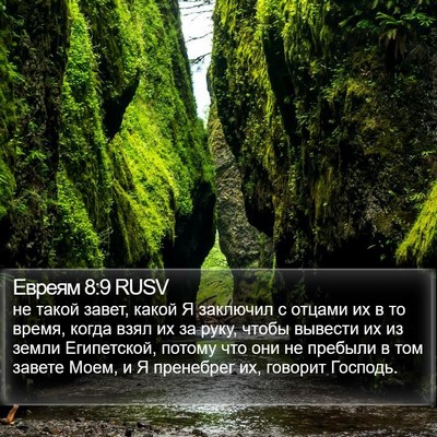 Евреям 8:9 RUSV Bible Verse Image