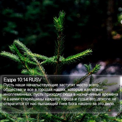 Ездра 10:14 RUSV Bible Verse Image