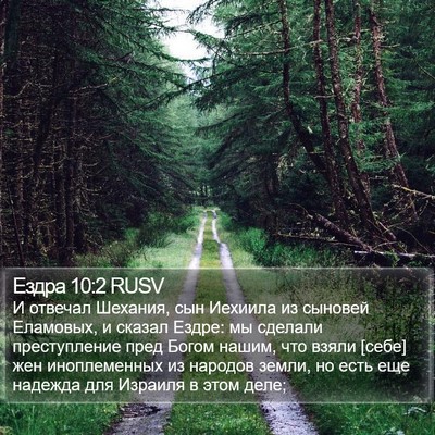 Ездра 10:2 RUSV Bible Verse Image
