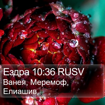Ездра 10:36 RUSV Bible Verse Image