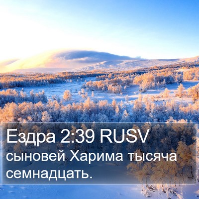 Ездра 2:39 RUSV Bible Verse Image