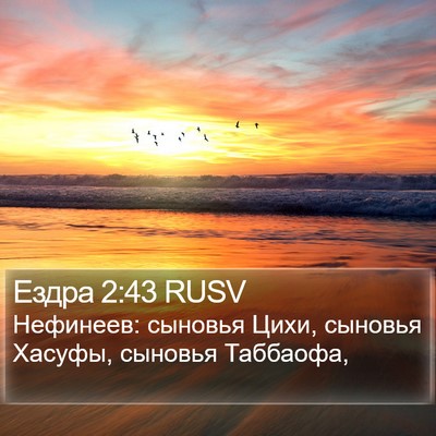 Ездра 2:43 RUSV Bible Verse Image