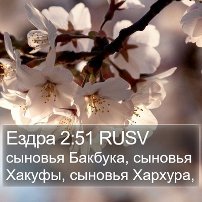 Ездра 2:51 RUSV Bible Verse Image
