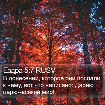 Ездра 5:7 RUSV Bible Verse Image