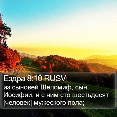 Ездра 8:10 RUSV Bible Verse Image