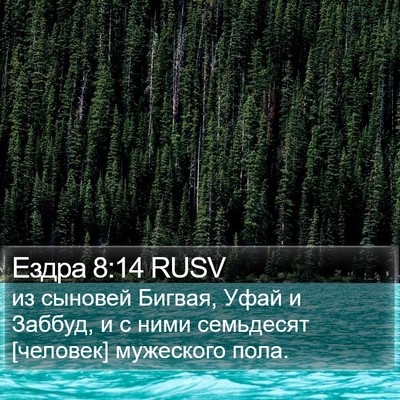 Ездра 8:14 RUSV Bible Verse Image