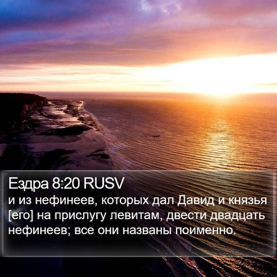 Ездра 8:20 RUSV Bible Verse Image