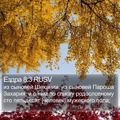 Ездра 8:3 RUSV Bible Verse Image