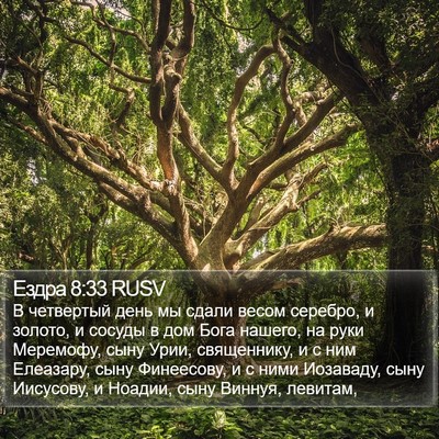 Ездра 8:33 RUSV Bible Verse Image