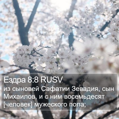 Ездра 8:8 RUSV Bible Verse Image