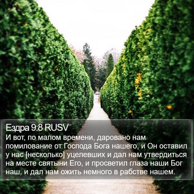 Ездра 9:8 RUSV Bible Verse Image