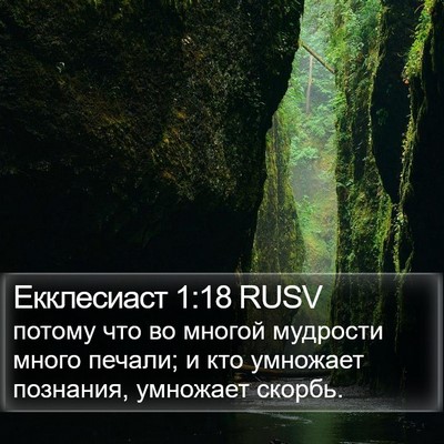Екклесиаст 1:18 RUSV Bible Verse Image