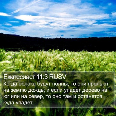 Екклесиаст 11:3 RUSV Bible Verse Image
