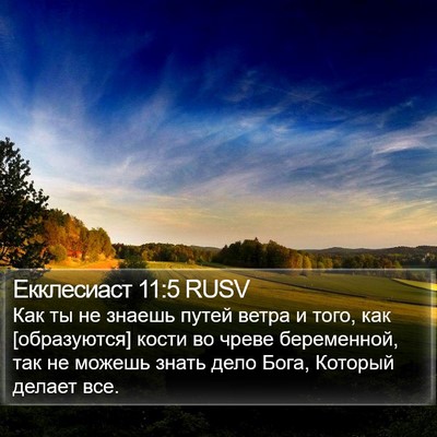 Екклесиаст 11:5 RUSV Bible Verse Image