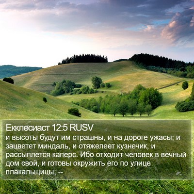 Екклесиаст 12:5 RUSV Bible Verse Image