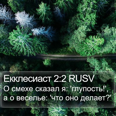 Екклесиаст 2:2 RUSV Bible Verse Image