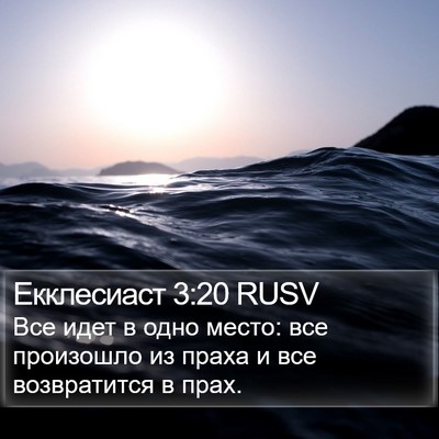 Екклесиаст 3:20 RUSV Bible Verse Image