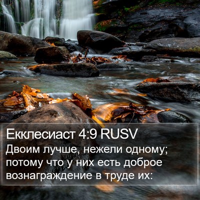 Екклесиаст 4:9 RUSV Bible Verse Image