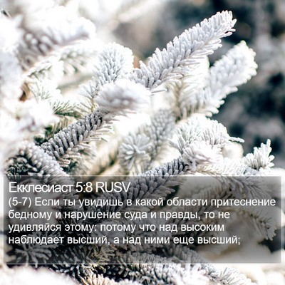 Екклесиаст 5:8 RUSV Bible Verse Image