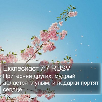 Екклесиаст 7:7 RUSV Bible Verse Image