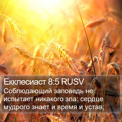 Екклесиаст 8:5 RUSV Bible Verse Image