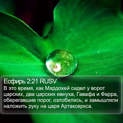 Есфирь 2:21 RUSV Bible Verse Image