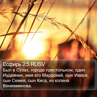 Есфирь 2:5 RUSV Bible Verse Image
