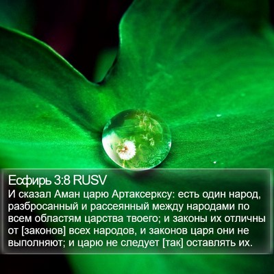 Есфирь 3:8 RUSV Bible Verse Image