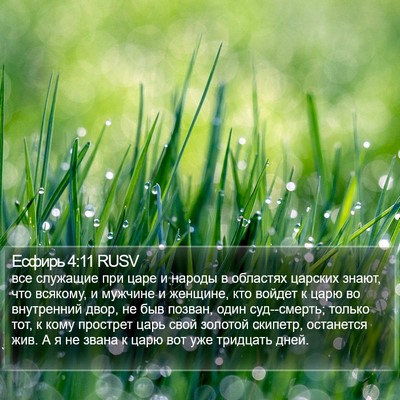 Есфирь 4:11 RUSV Bible Verse Image