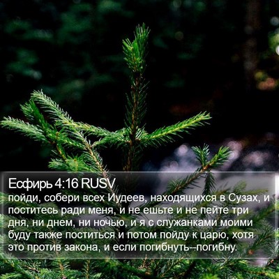 Есфирь 4:16 RUSV Bible Verse Image