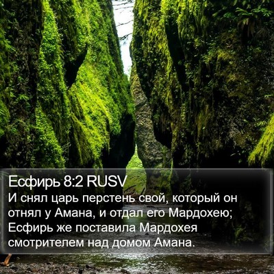 Есфирь 8:2 RUSV Bible Verse Image