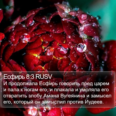 Есфирь 8:3 RUSV Bible Verse Image