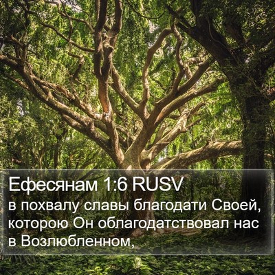 Ефесянам 1:6 RUSV Bible Verse Image
