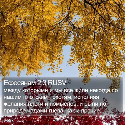 Ефесянам 2:3 RUSV Bible Verse Image