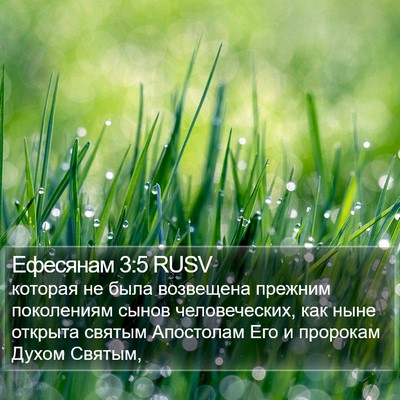 Ефесянам 3:5 RUSV Bible Verse Image