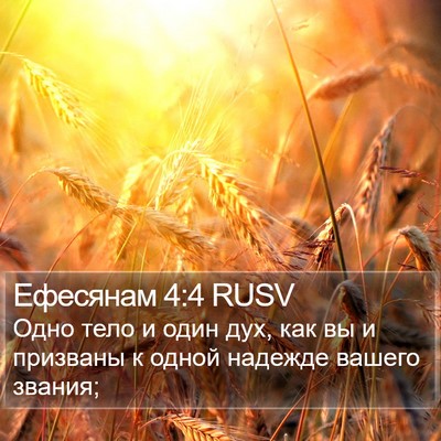 Ефесянам 4:4 RUSV Bible Verse Image